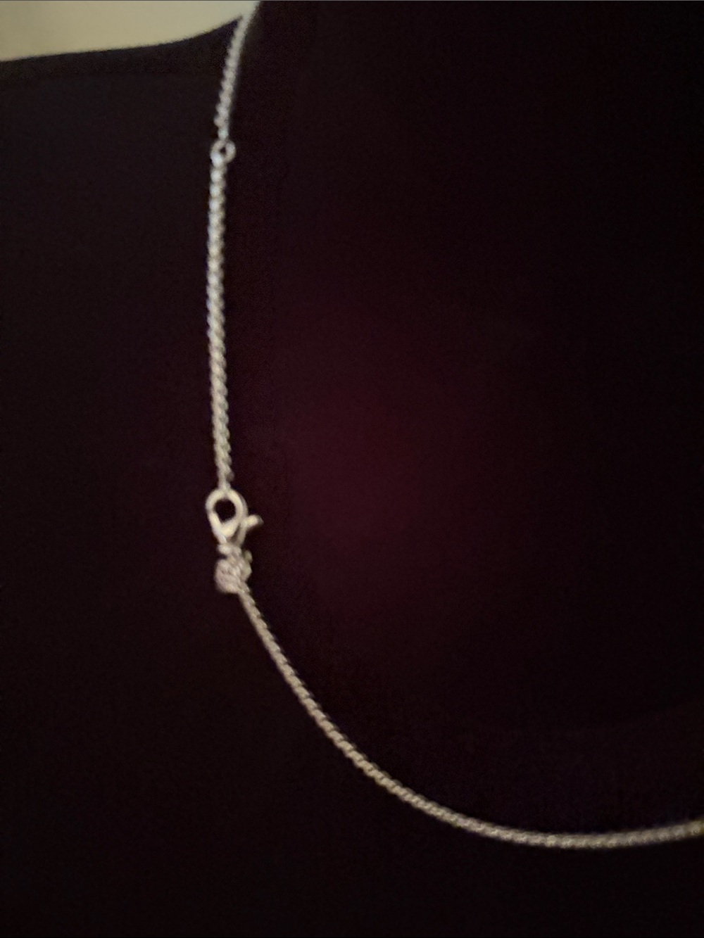 Sterling Silver Rope Bar Necklace - Silver - Picture 4 of 5